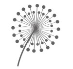 dandelion02